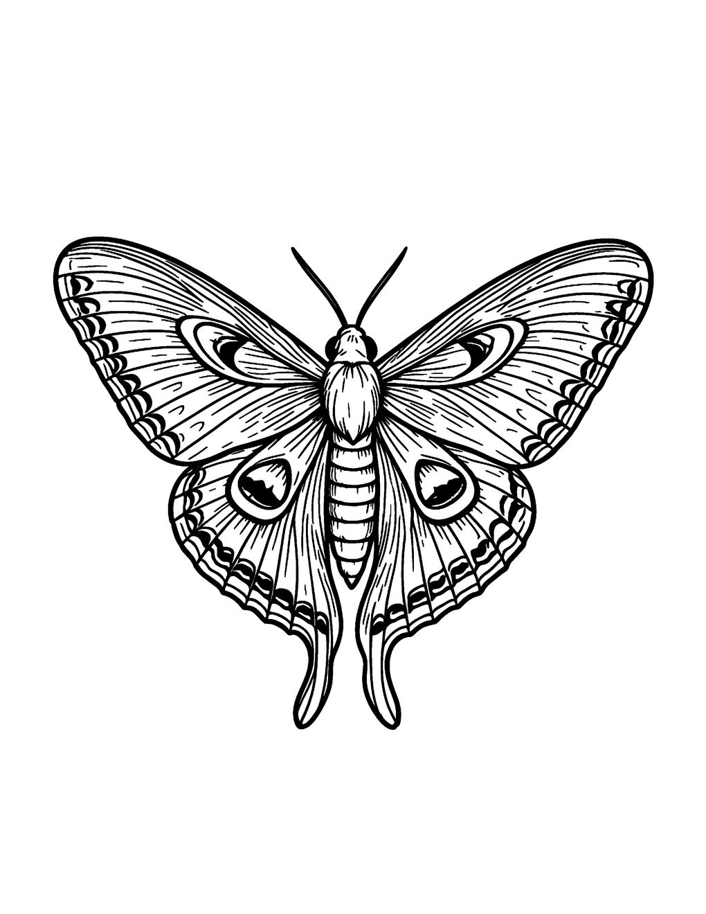 A symmetrical luna moth with detailed wing scale patterns