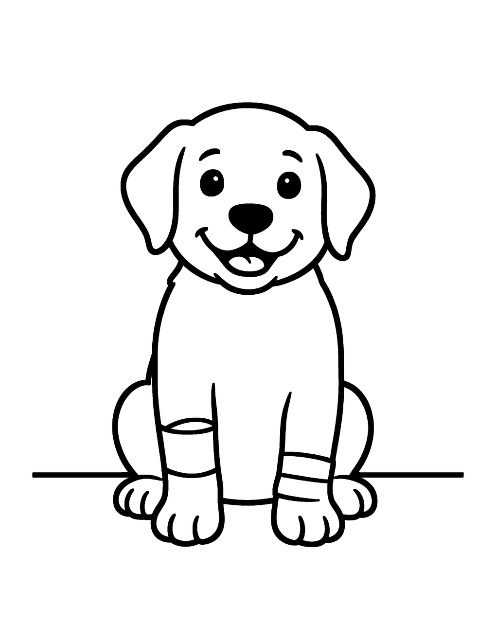 A puppy waits happily with a bandage on its paw