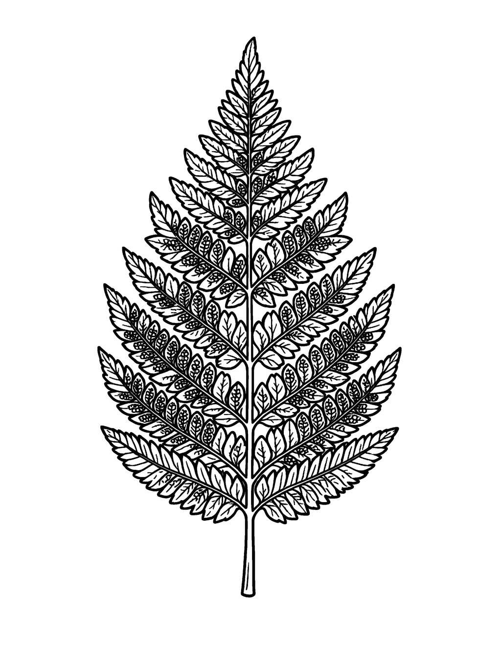Adult coloring page from CrayonMill: dense botanical pattern, fine 1-bit line art