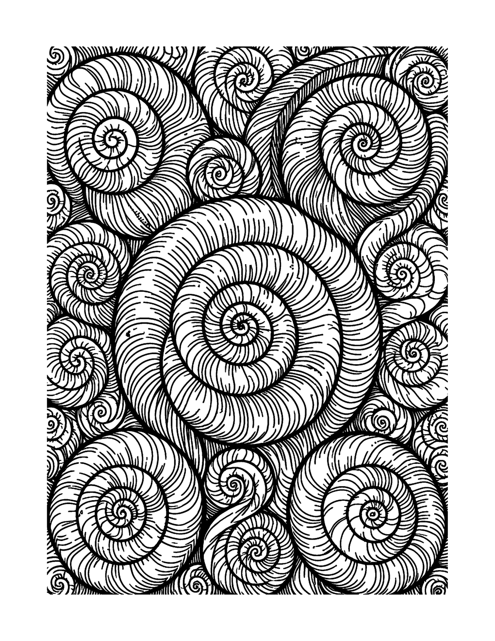 Spiral seashells nested together in a naturalist composition