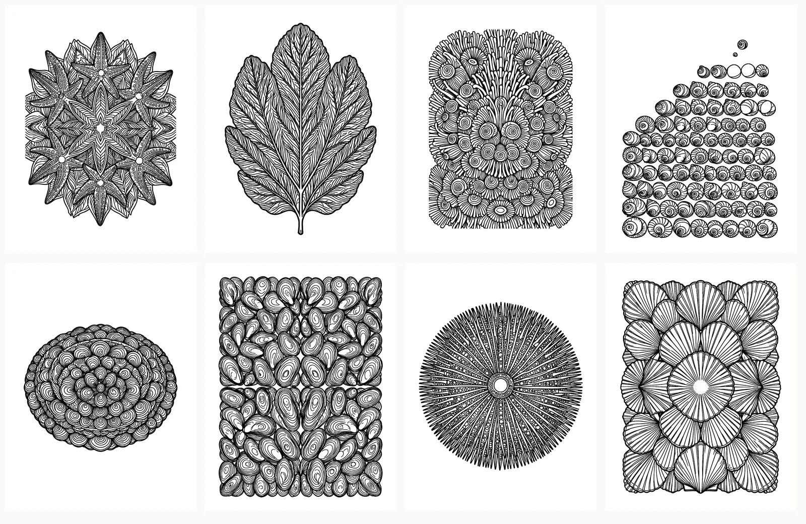 First eight pages of Tide Pool Studies as they appear in the PDF